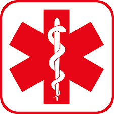 LA Non-Emergency Medical Transport Business sold by Eric Mellem